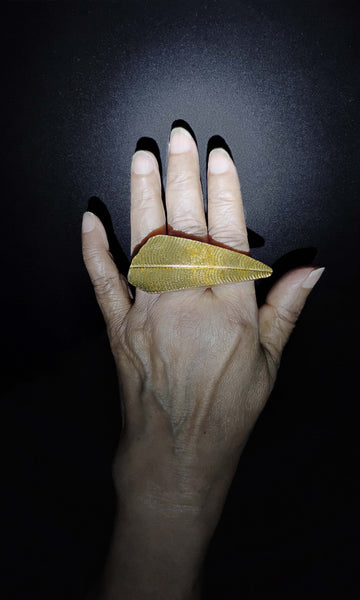 b50 Connulariid Paleon Ring | Alloy Of Brass, Copper & Silver | Non-Tarnishing | Adjustable Free Size | Ready To Ship