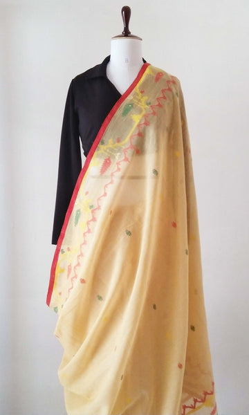 g29 Old Weave Jamdani Sari I Hand Woven Soft Cotton Mulmul